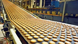 صناعات غذائية 