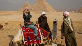 دواب سياحية