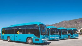 سوق الحافلات العالمي