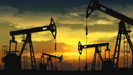 النفط الخام