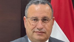 الدكتور عبد العزيز قنصوة وزير التعليم العالي والبحث العلمي