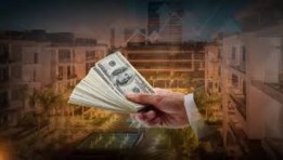 الدولار الأمريكي 