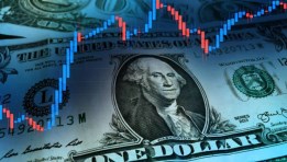 سعر الدولار 