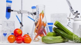  العمل بقطاع الأغذية 