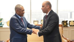 سفير جمهورية السودان ووزير العمل المصري 