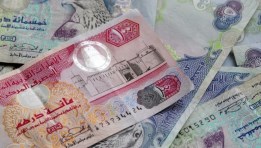 سعر الدرهم الإماراتي 