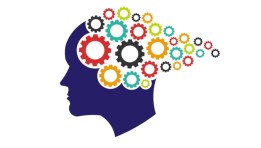 كيف تباع الفكرة