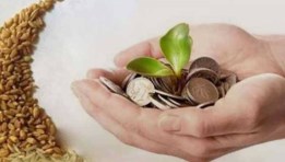 زكاة الفطر 2026