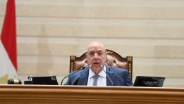 المستشار هشام بدوي