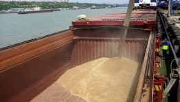 القح الروسي