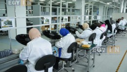 مصنع الإلكترونيات المصري