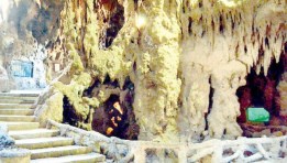 حديقة الأسماك