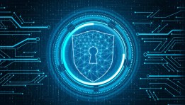 الأمن السيبراني