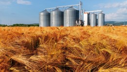 صوامع الدلتا الجديدة