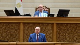 مجلس النواب 