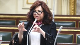 النائبة آمال عبد الحميد 