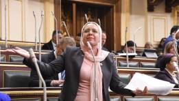 النائبة ريهام عبد النبي 