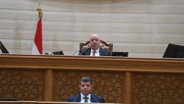 مجلس النواب 
