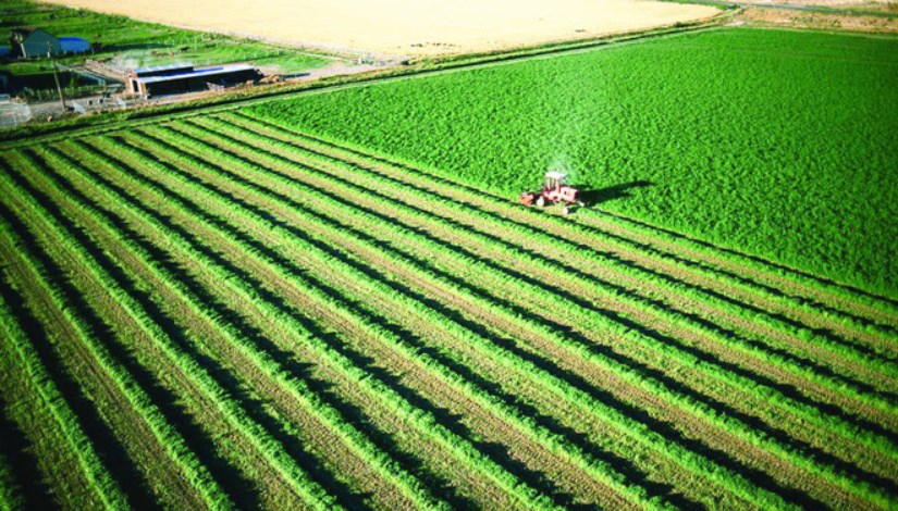 الموسم الزراعي