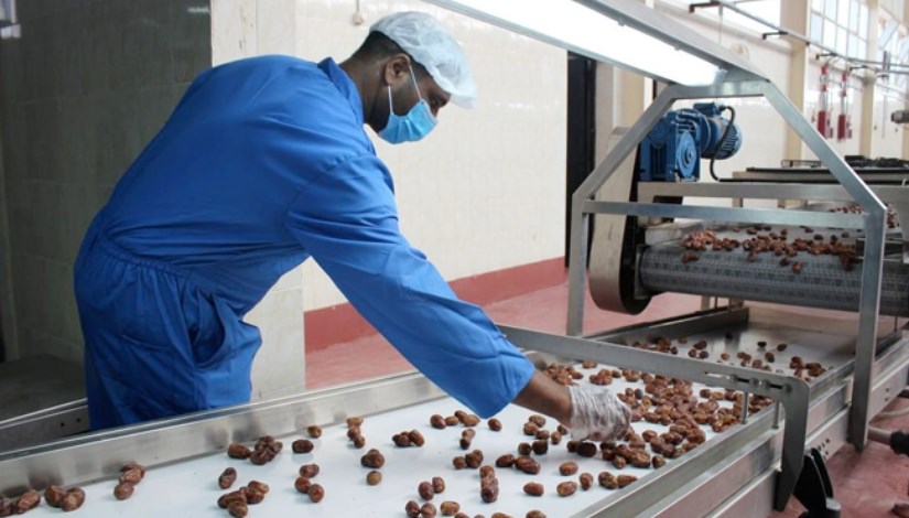 مصانع تعبئة وتغليف التمور