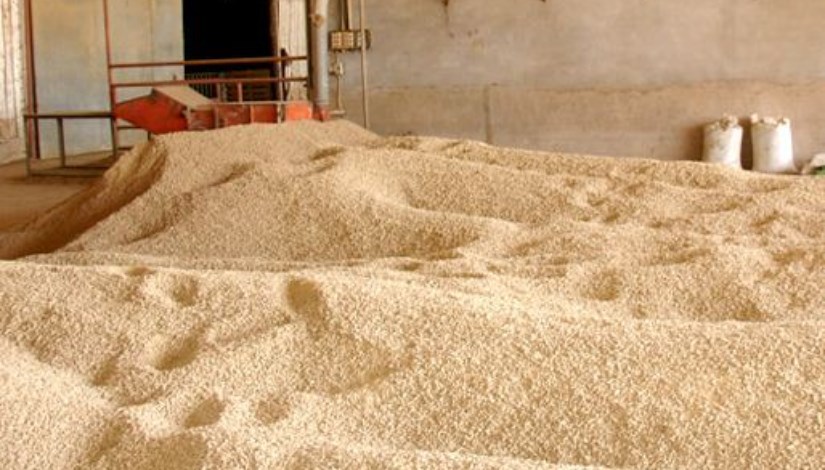 مصانع الأعلاف