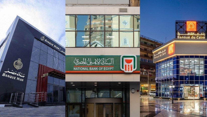 البنوك الحكومية