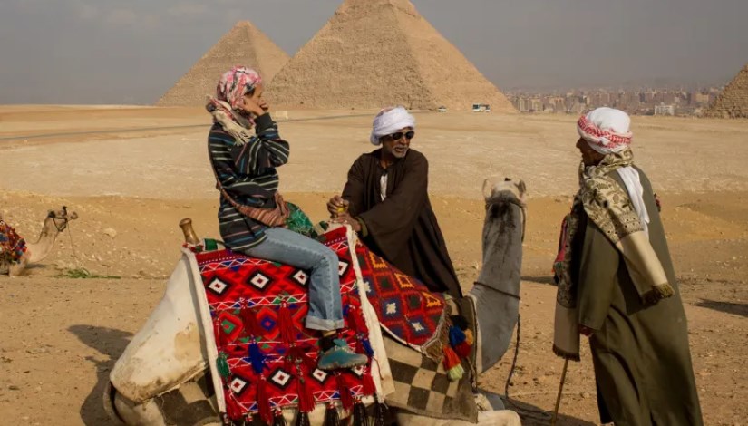 دواب سياحية