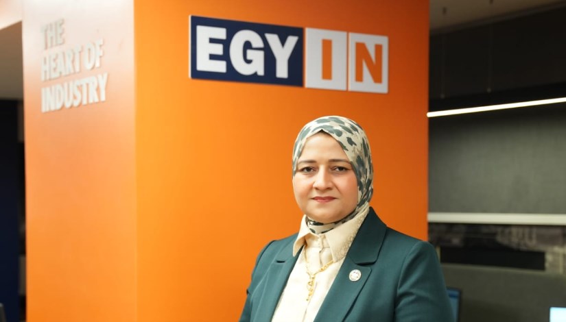 الدكتورة مروة قنصوة، عضو مجلس الشيوخ وأمين سر لجنة الطاقة والبيئة والقوى العاملة