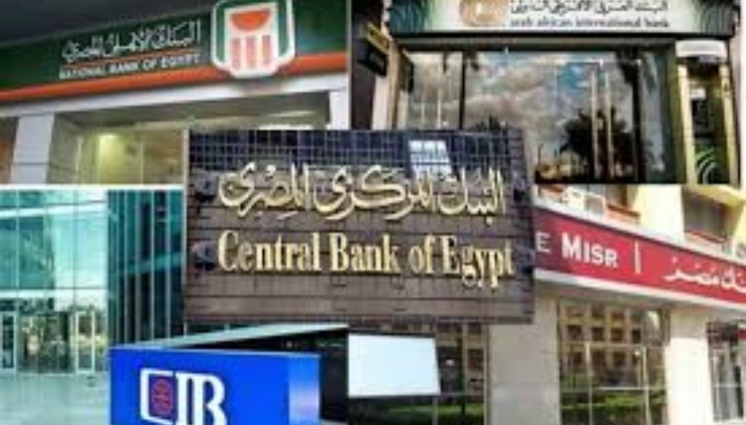 البنوك المصرية