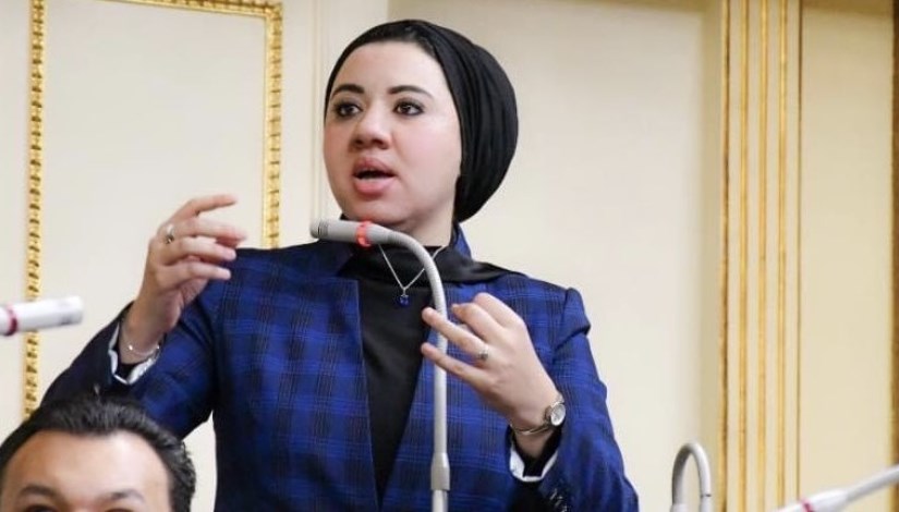 النائبة أميرة صابر قنديل، عضو مجلس الشيوخ