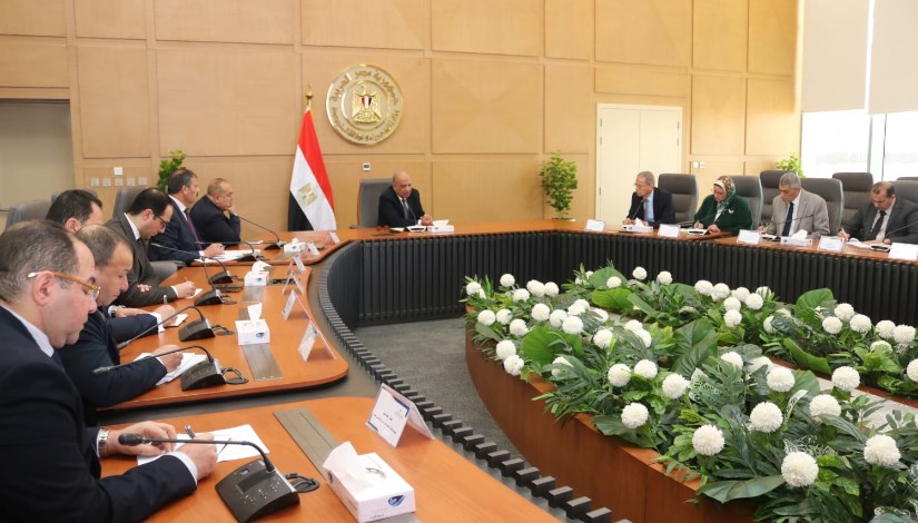 وزير الكهرباء الدكتور محمود عصمت