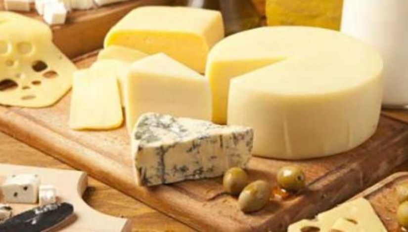 صناعة الجبن