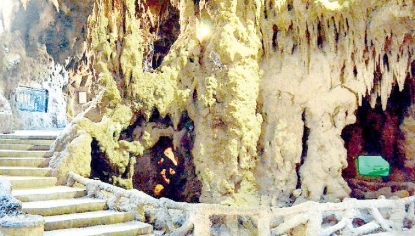 حديقة الأسماك