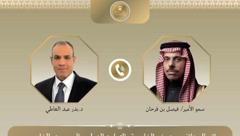 وزير الخارجية ونظيرة السعودي