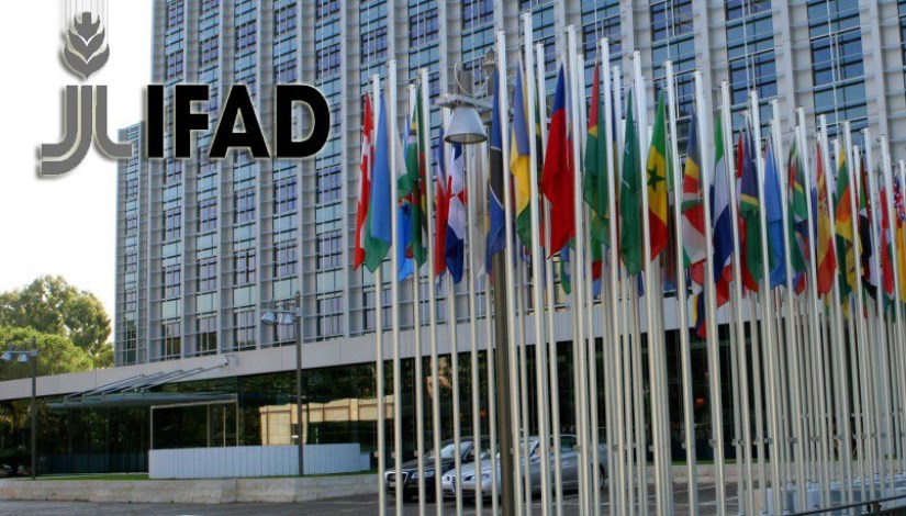 صندوق الإيفاد 