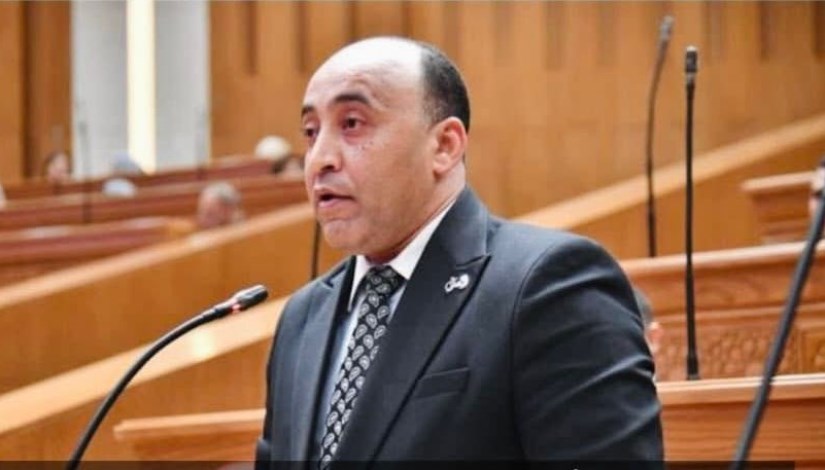 النائب حسام حسن 