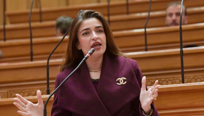 الدكتورة ايرين سعيد