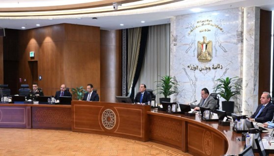 مجلس الوزراء
