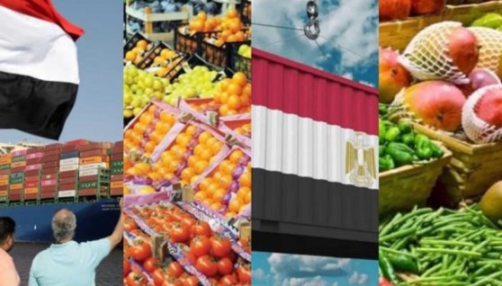 ارتفاع صادرات الصناعات الغذائية المصرية