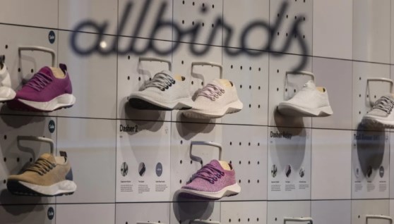 شركة ألبيردس – Allbirds