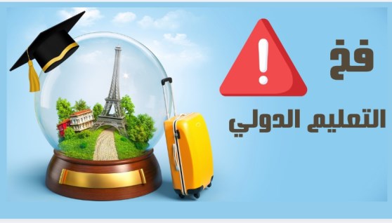 التعليم الدولي
