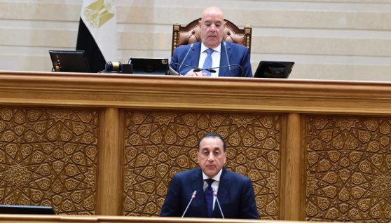 رئيس الوزراء أمام مجلس النواب