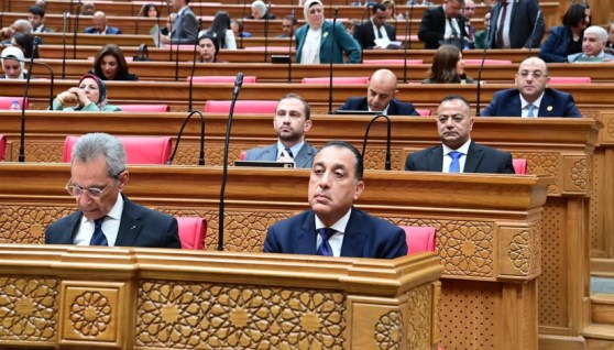 رئيس الوزراء أمام مجلس النواب