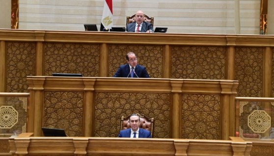 جانب من الجلسة