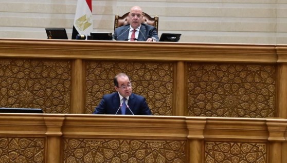 وزير المالية أمام مجلس النواب