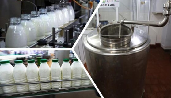 مراكز تجميع الألبان