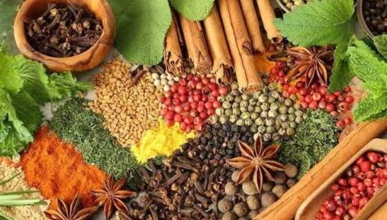نباتات طبية وعطرية
