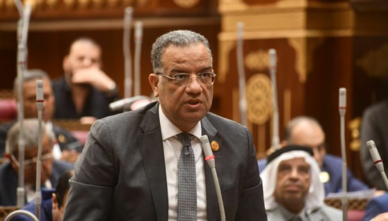 النائب محمود مسلم، رئيس الهيئة البرلمانية لحزب الجبهة الوطنية بمجلس الشيوخ