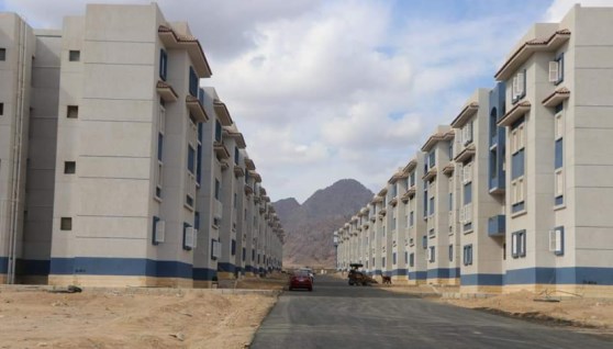 سيناء_ أرشيفية