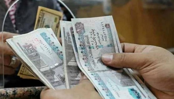 المعاشات 